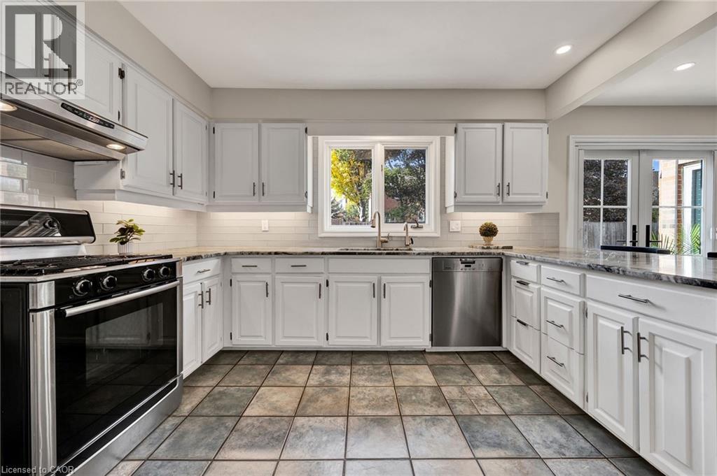 250 GREY SQUIRREL Place thumbnail 12