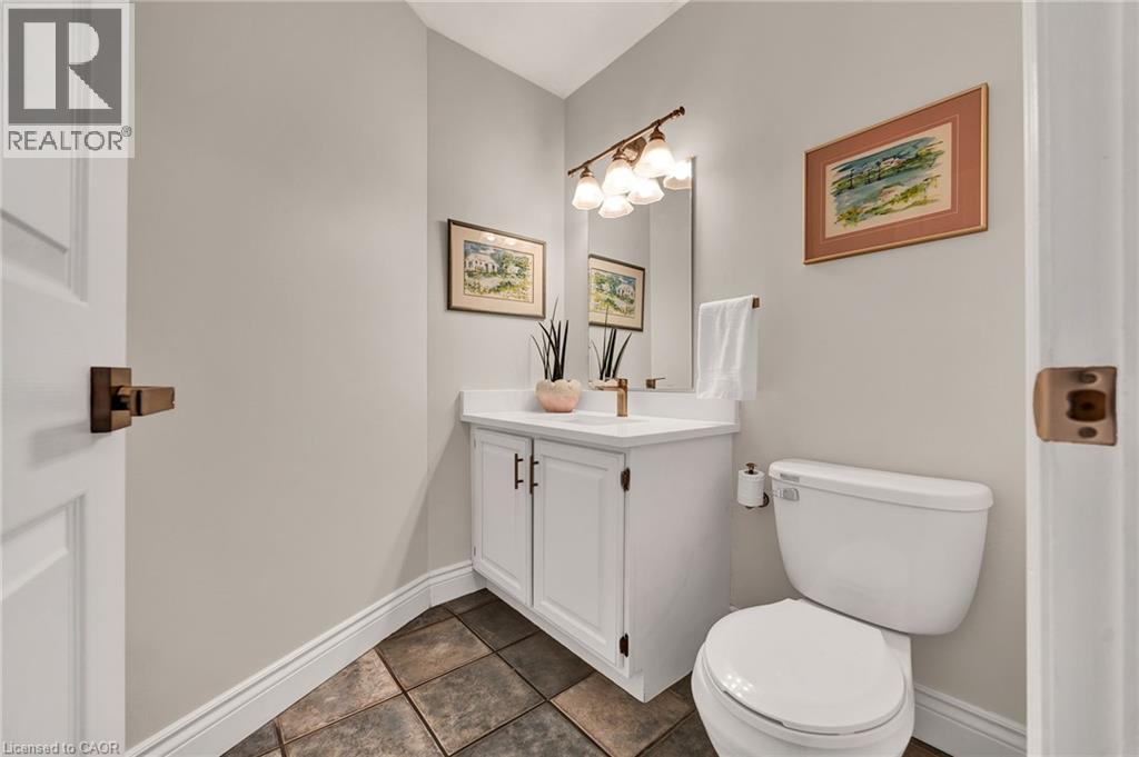 250 GREY SQUIRREL Place thumbnail 14