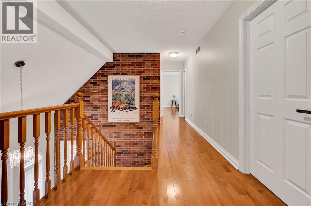 250 GREY SQUIRREL Place thumbnail 16