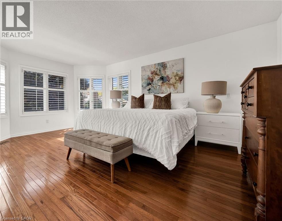 250 GREY SQUIRREL Place thumbnail 17