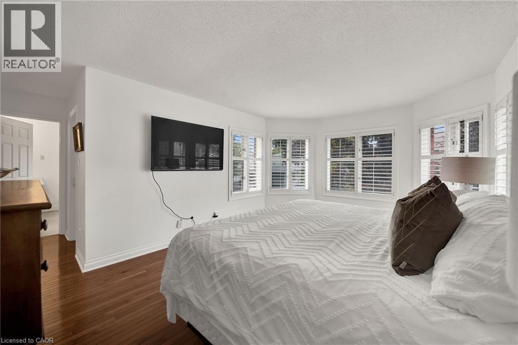 250 GREY SQUIRREL Place thumbnail 18