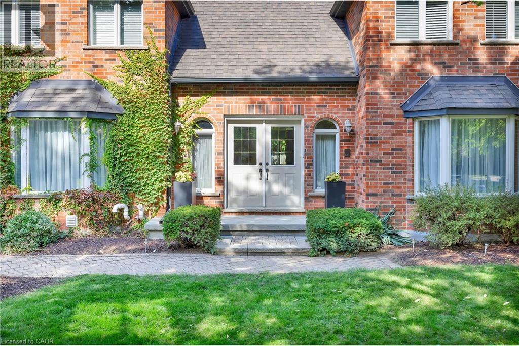 250 GREY SQUIRREL Place thumbnail 2