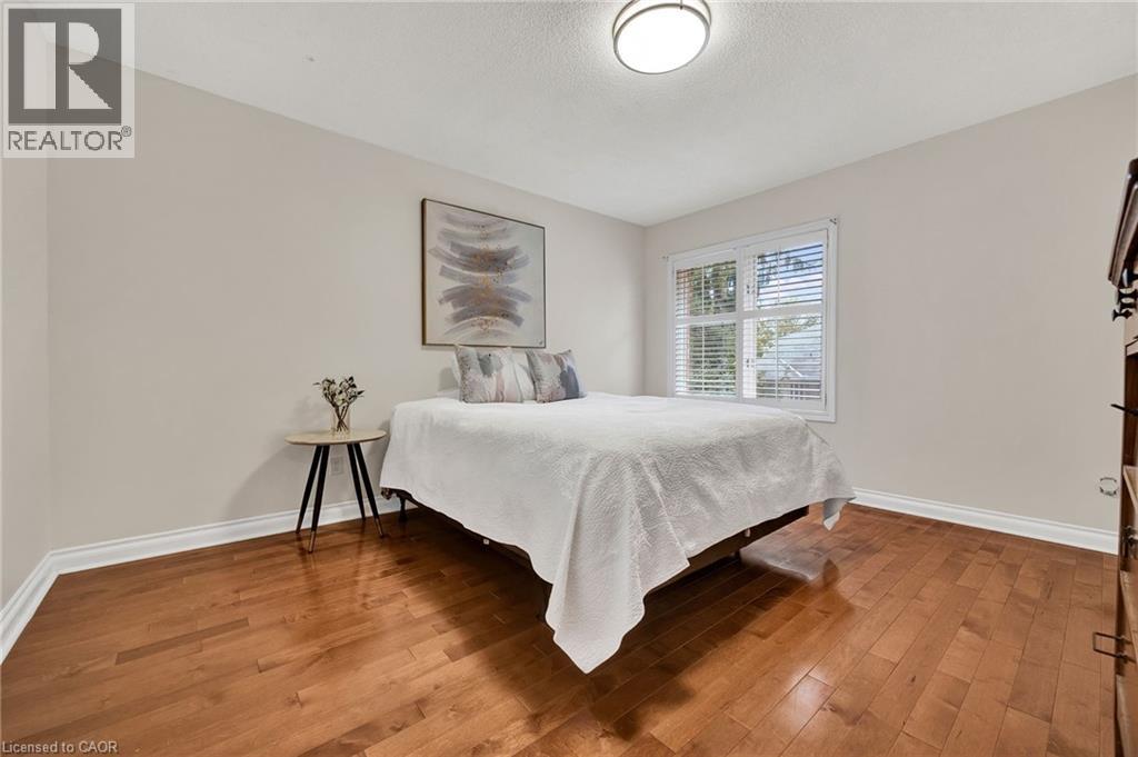 250 GREY SQUIRREL Place thumbnail 21