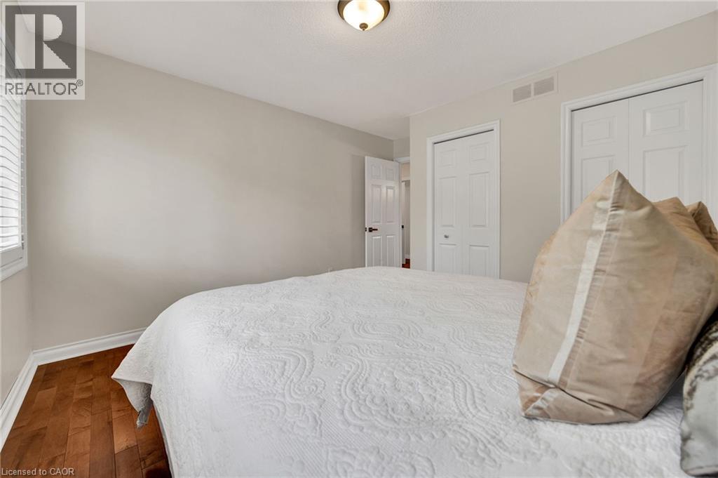 250 GREY SQUIRREL Place thumbnail 24