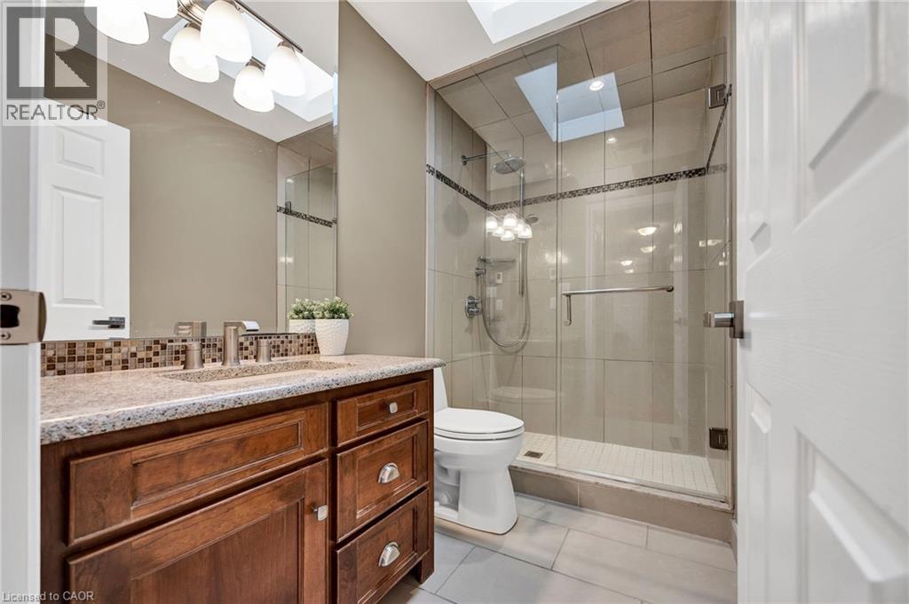 250 GREY SQUIRREL Place thumbnail 25