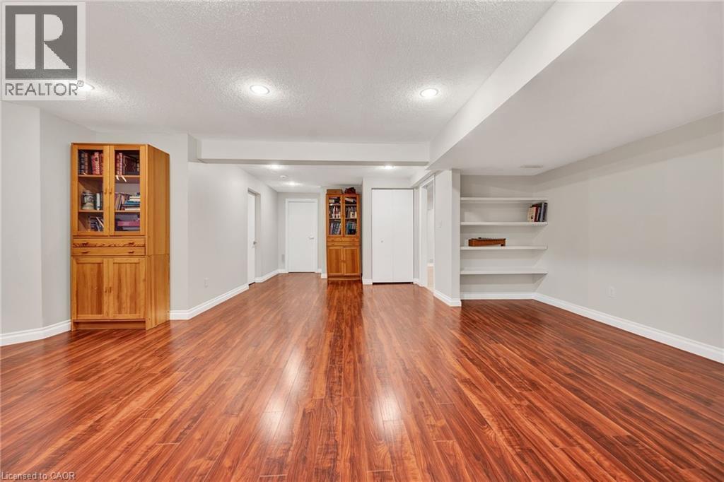 250 GREY SQUIRREL Place thumbnail 29