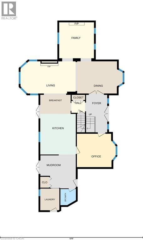 250 GREY SQUIRREL Place thumbnail 34