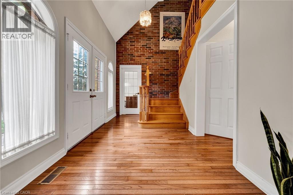 250 GREY SQUIRREL Place thumbnail 4