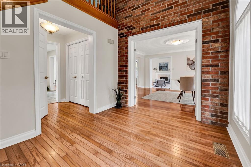 250 GREY SQUIRREL Place thumbnail 5