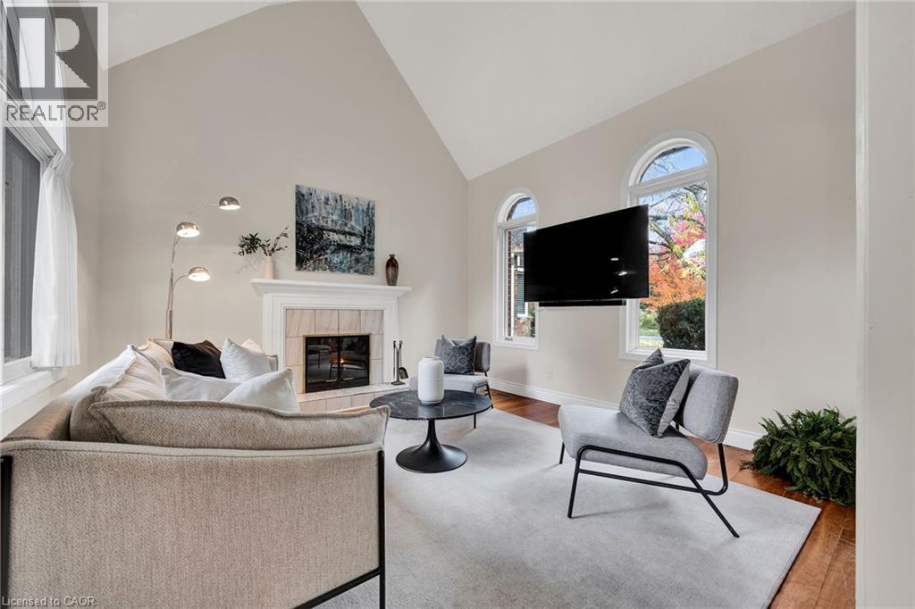 250 GREY SQUIRREL Place thumbnail 6