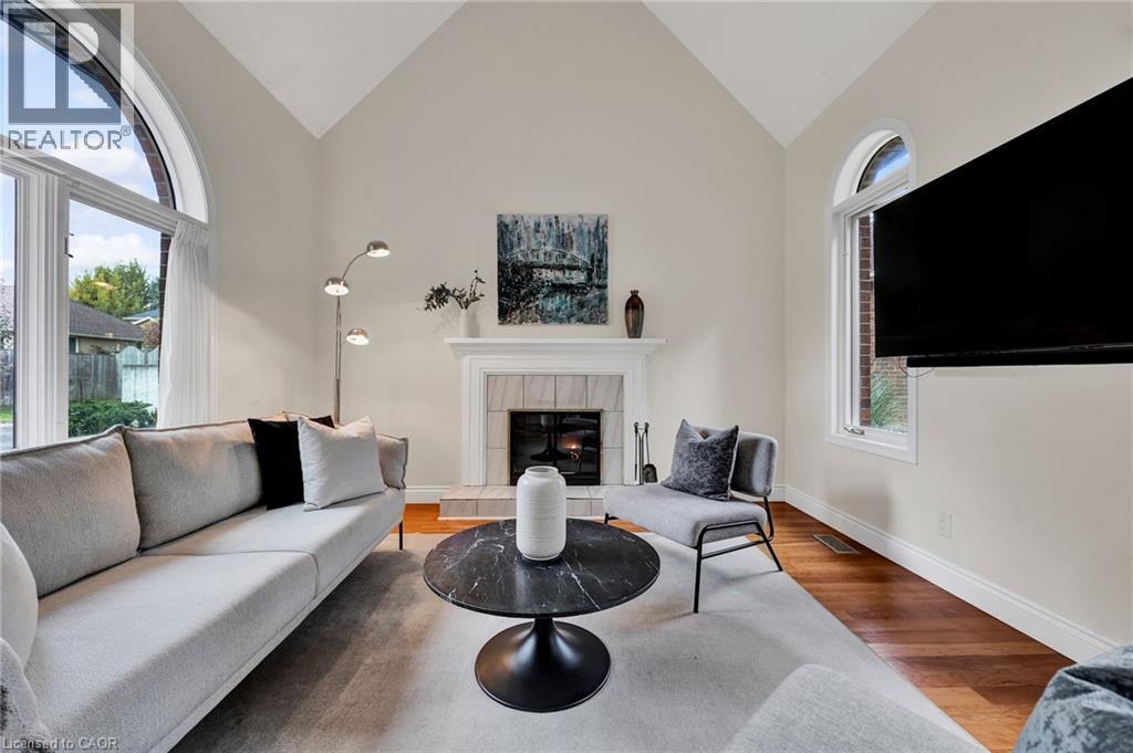 250 GREY SQUIRREL Place thumbnail 7