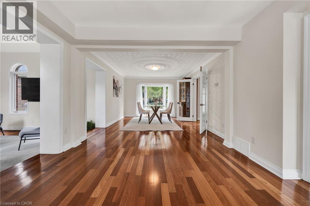 250 GREY SQUIRREL Place thumbnail 8