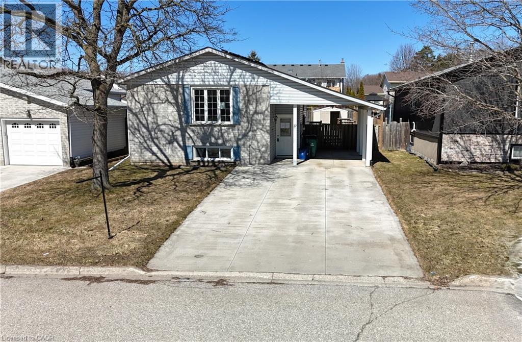 19 MEMORY Lane thumbnail 17