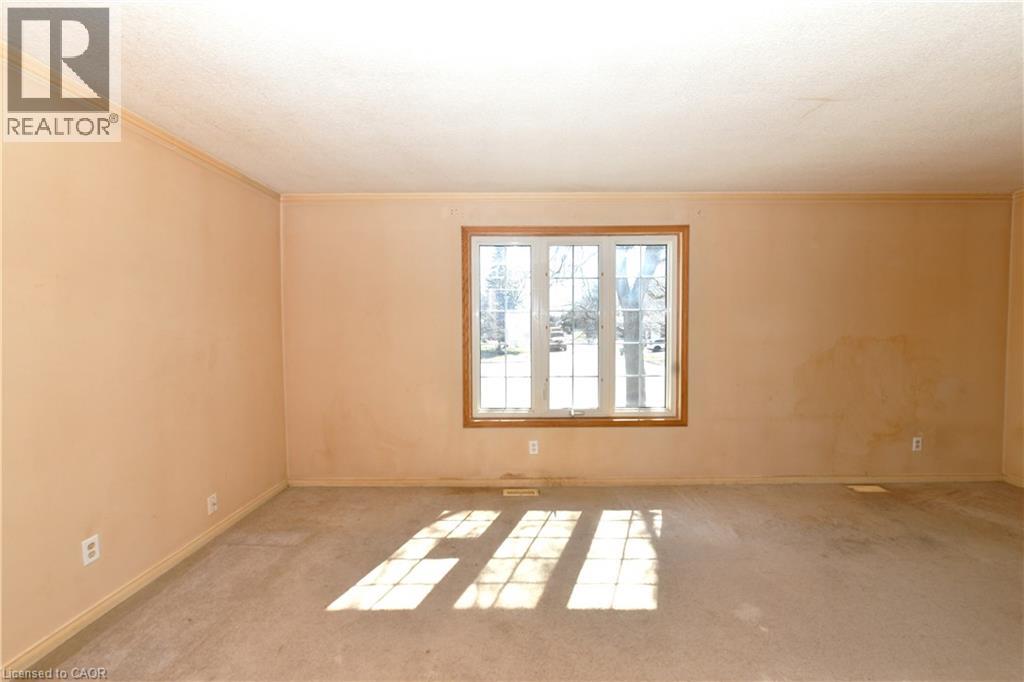 19 MEMORY Lane thumbnail 6