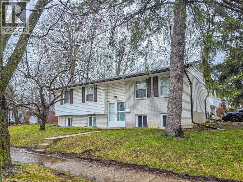 60 AUSTIN Drive thumbnail 2