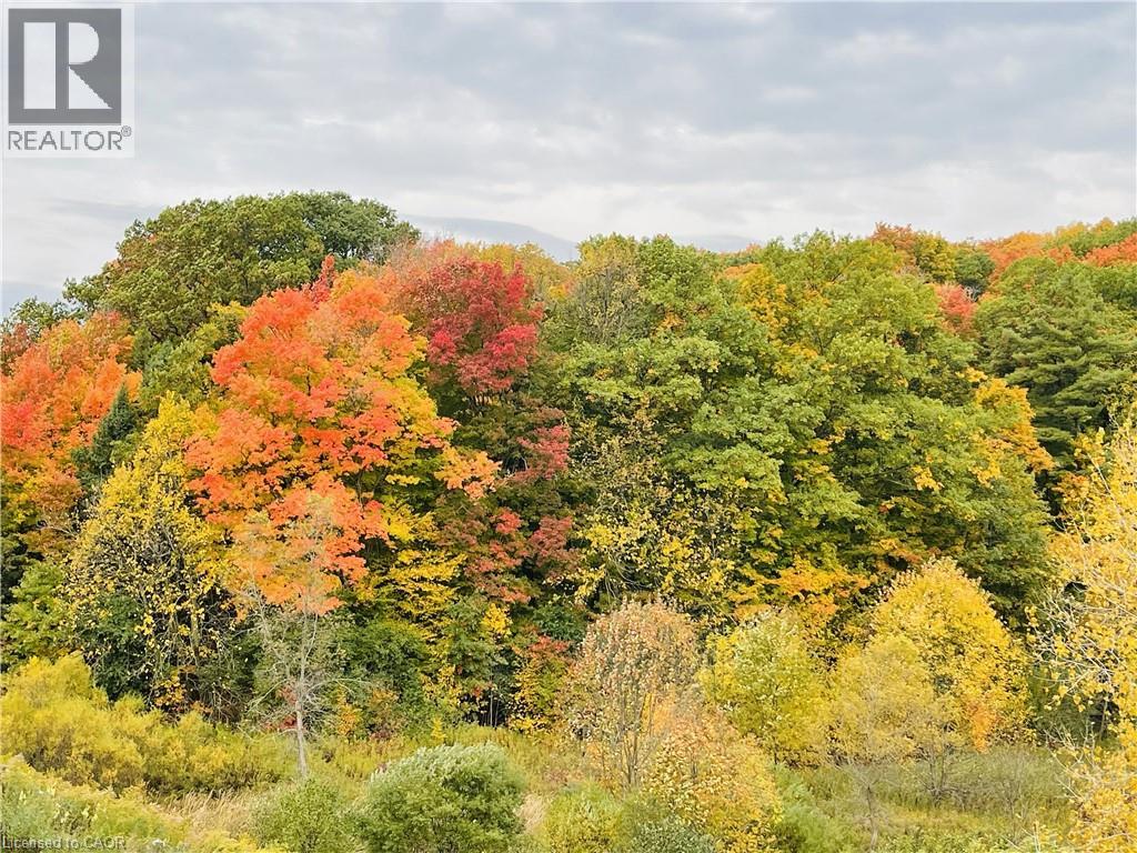 261 WOODBINE Avenue Unit# 48 thumbnail 49