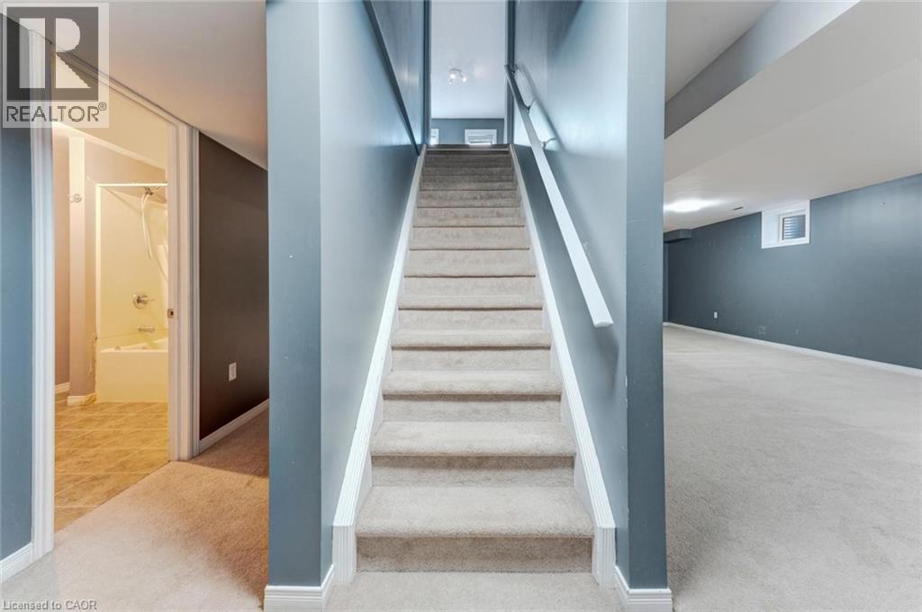 50 CRANBROOK Street thumbnail 38