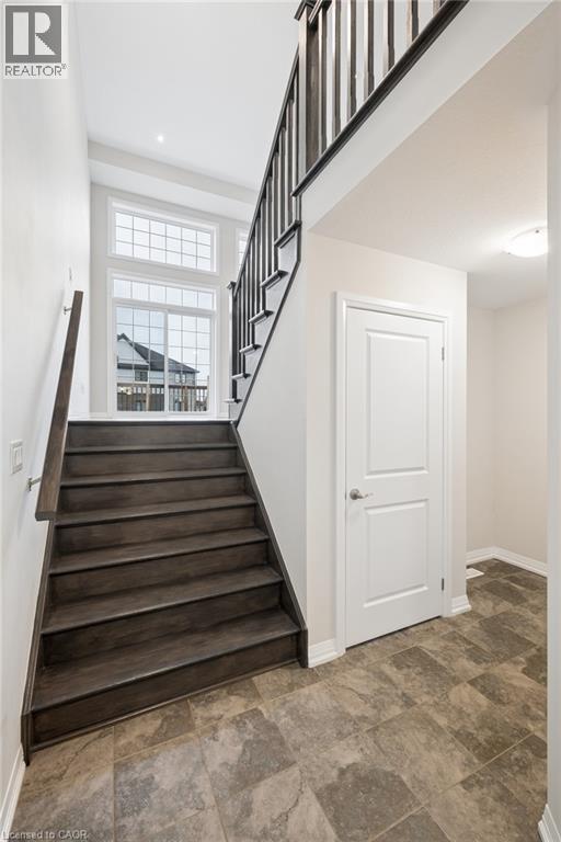 54 BANK SWALLOW Crescent thumbnail 11