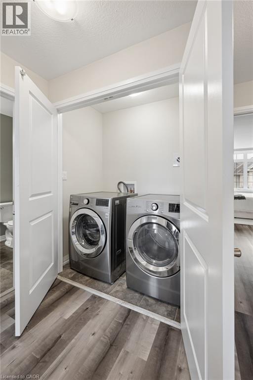 54 BANK SWALLOW Crescent thumbnail 28