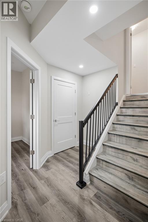 54 BANK SWALLOW Crescent thumbnail 38