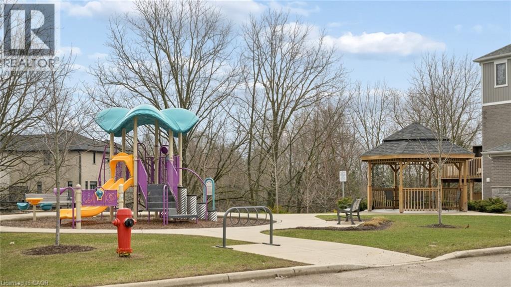 54 BANK SWALLOW Crescent thumbnail 43