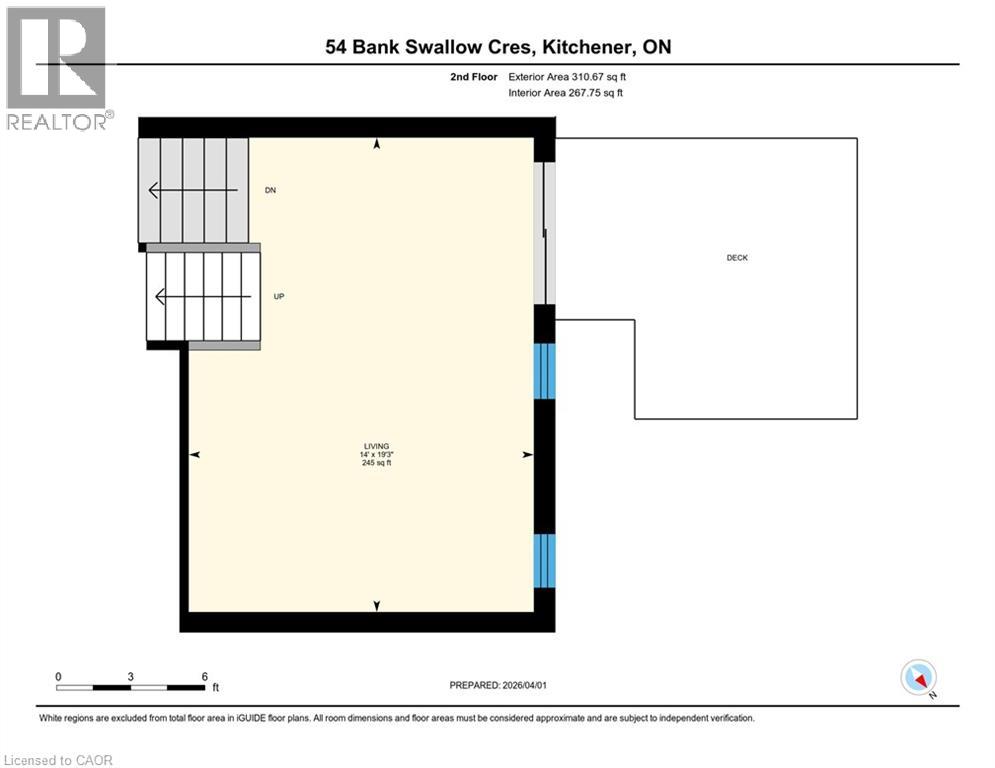54 BANK SWALLOW Crescent thumbnail 45