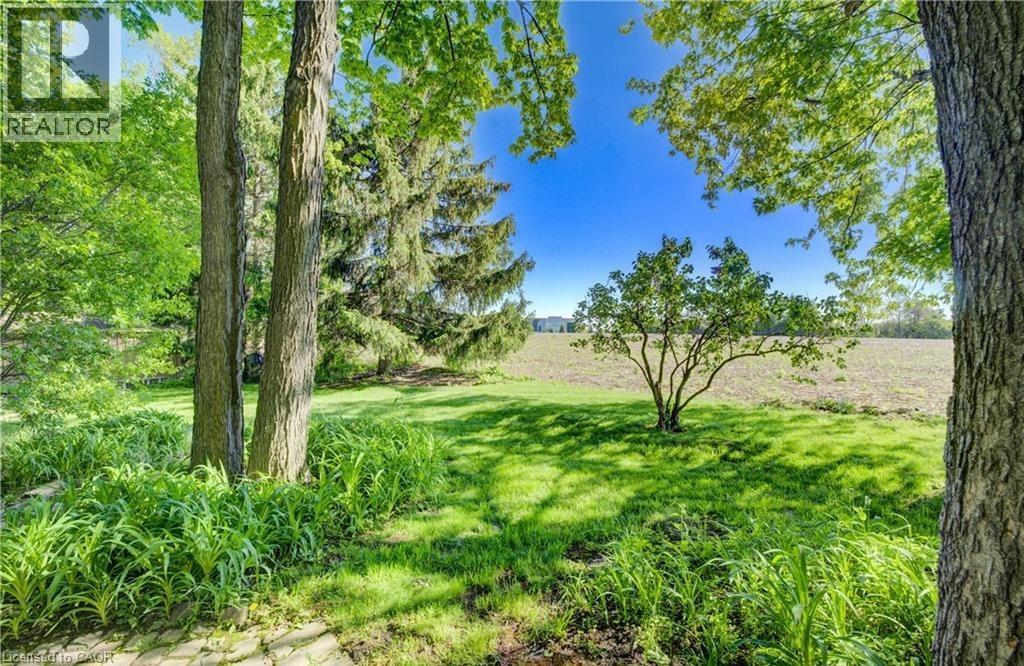 239 CORRIE Crescent thumbnail 50