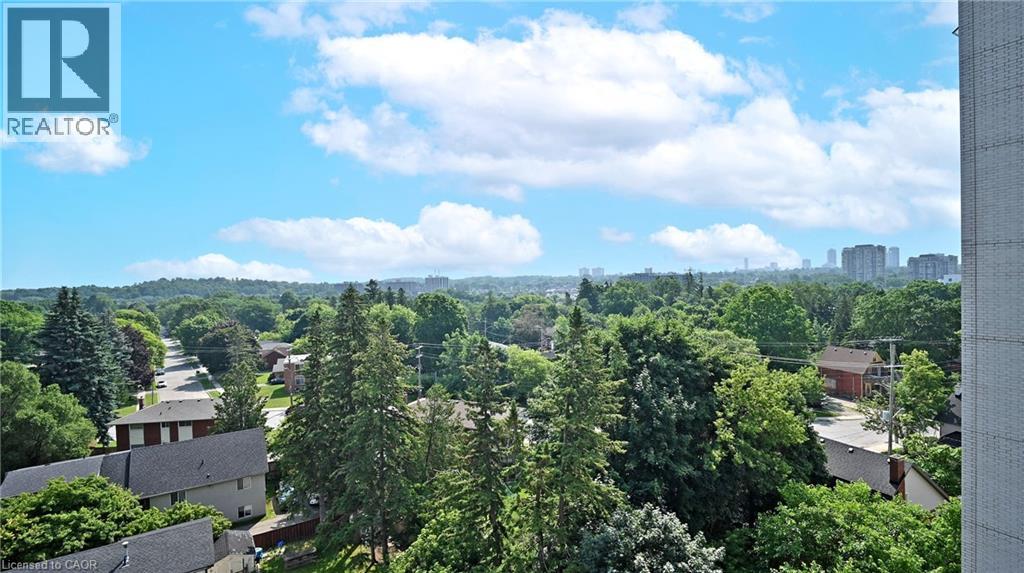 158 KING Street N Unit# 8802 thumbnail 25