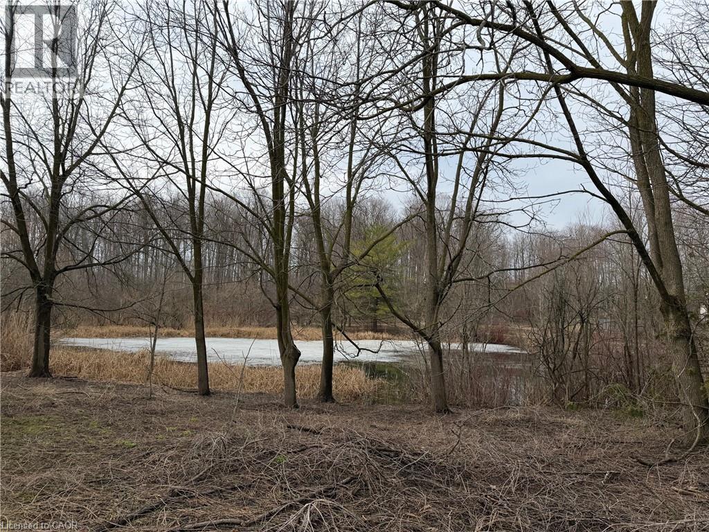 124 AUTUMN HILL Crescent thumbnail 44