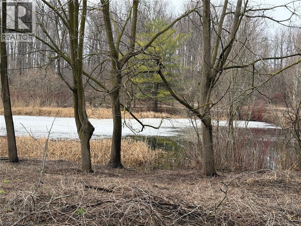 124 AUTUMN HILL Crescent thumbnail 45