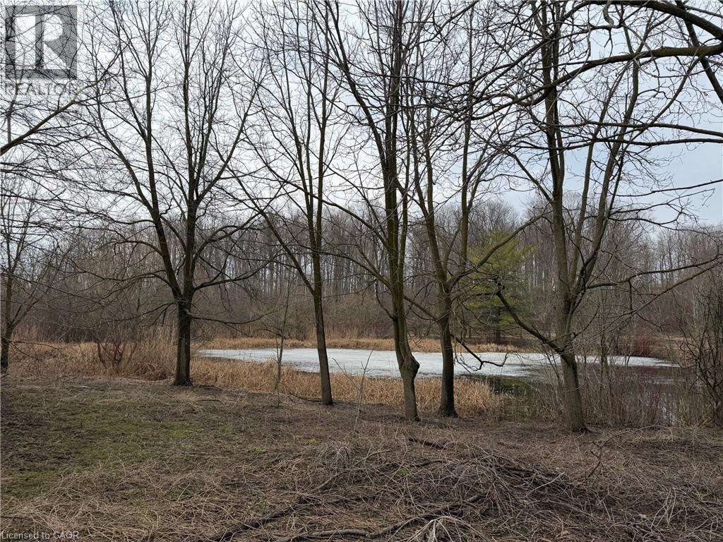 124 AUTUMN HILL Crescent thumbnail 46