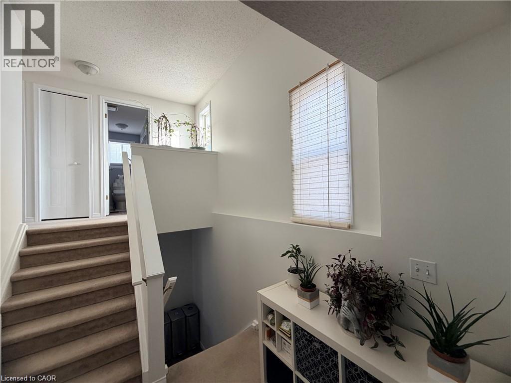 15 GEES Way thumbnail 15