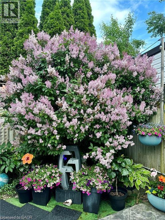 15 GEES Way thumbnail 27