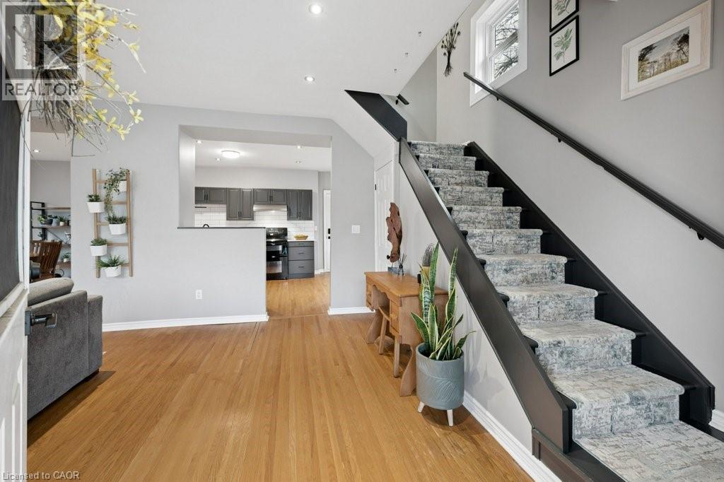 43 KRUG Street thumbnail 7