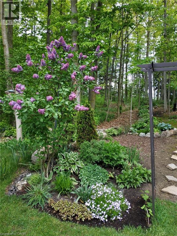 20 FORREST Avenue W Unit# 10 thumbnail 41