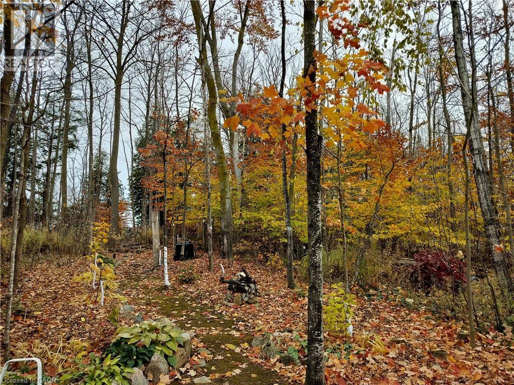 20 FORREST Avenue W Unit# 10 thumbnail 38