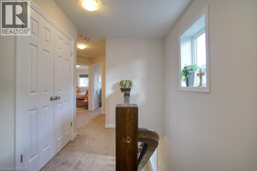 80 MIRANDA Path thumbnail 17