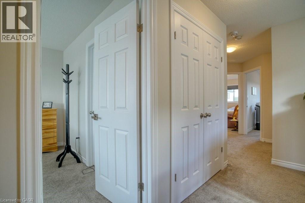 80 MIRANDA Path thumbnail 18