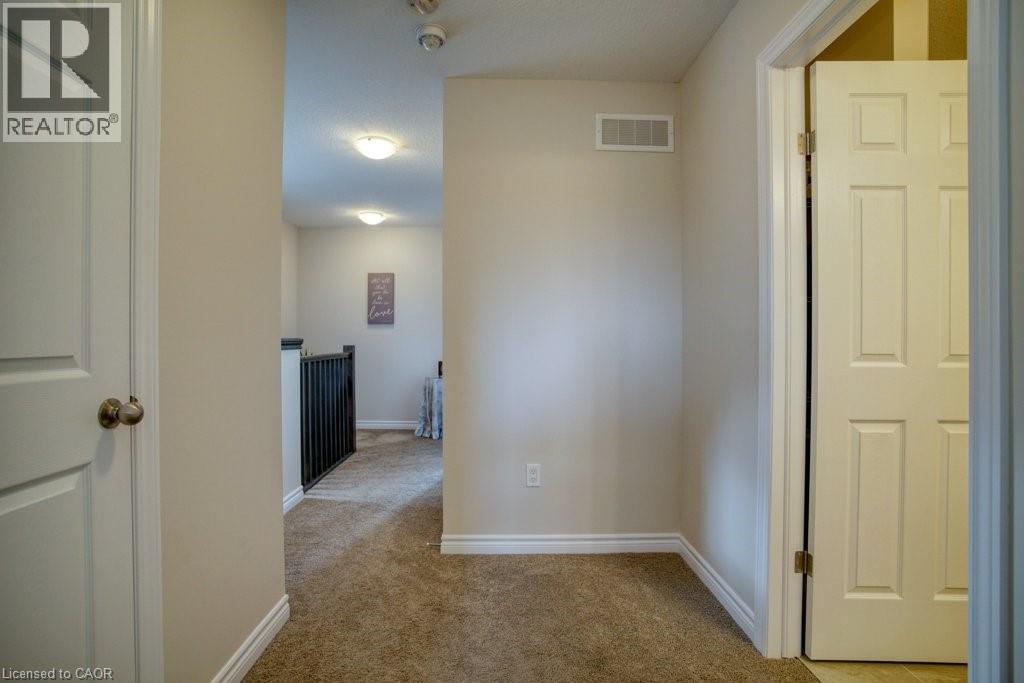 80 MIRANDA Path thumbnail 20