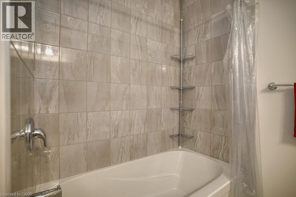 80 MIRANDA Path thumbnail 24