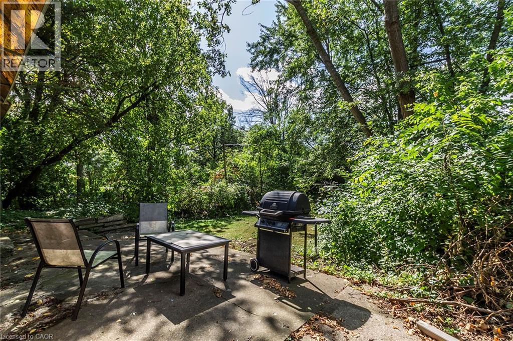 133 ALBERT Street thumbnail 28