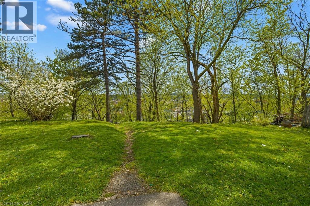 20 ELLIOTT Street thumbnail 6