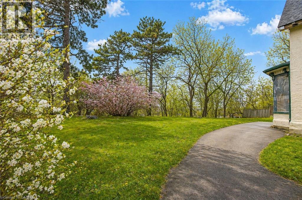 20 ELLIOTT Street thumbnail 3