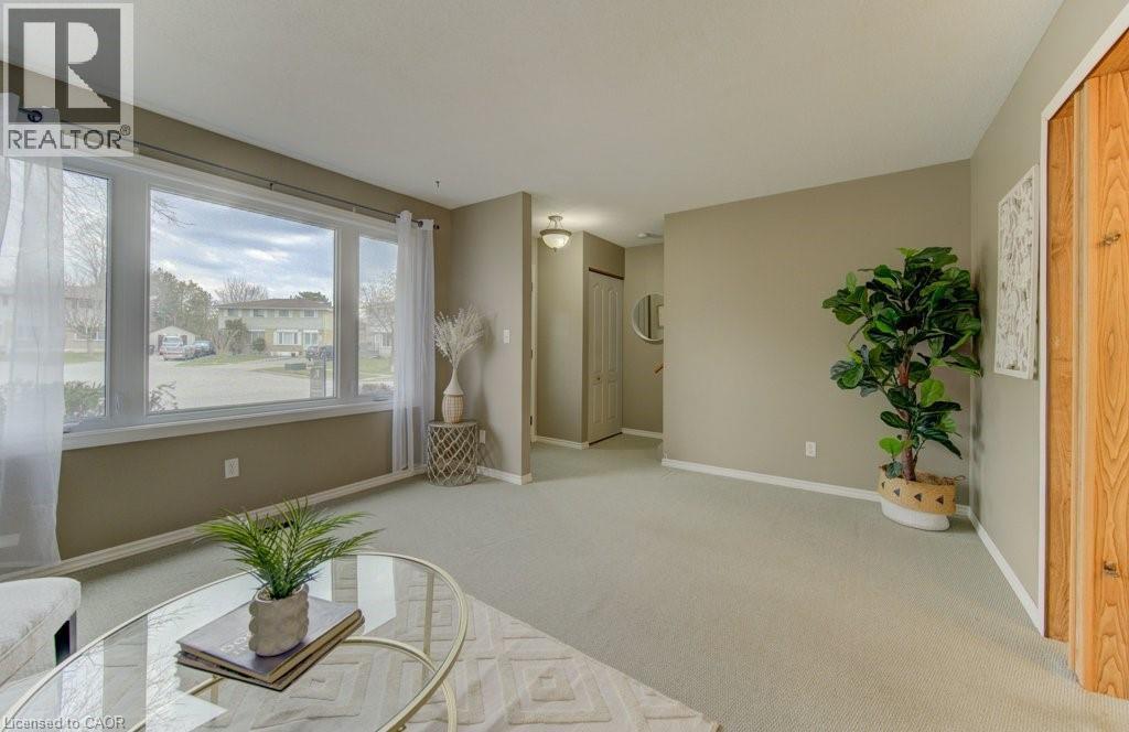 53 WINTER Avenue thumbnail 7