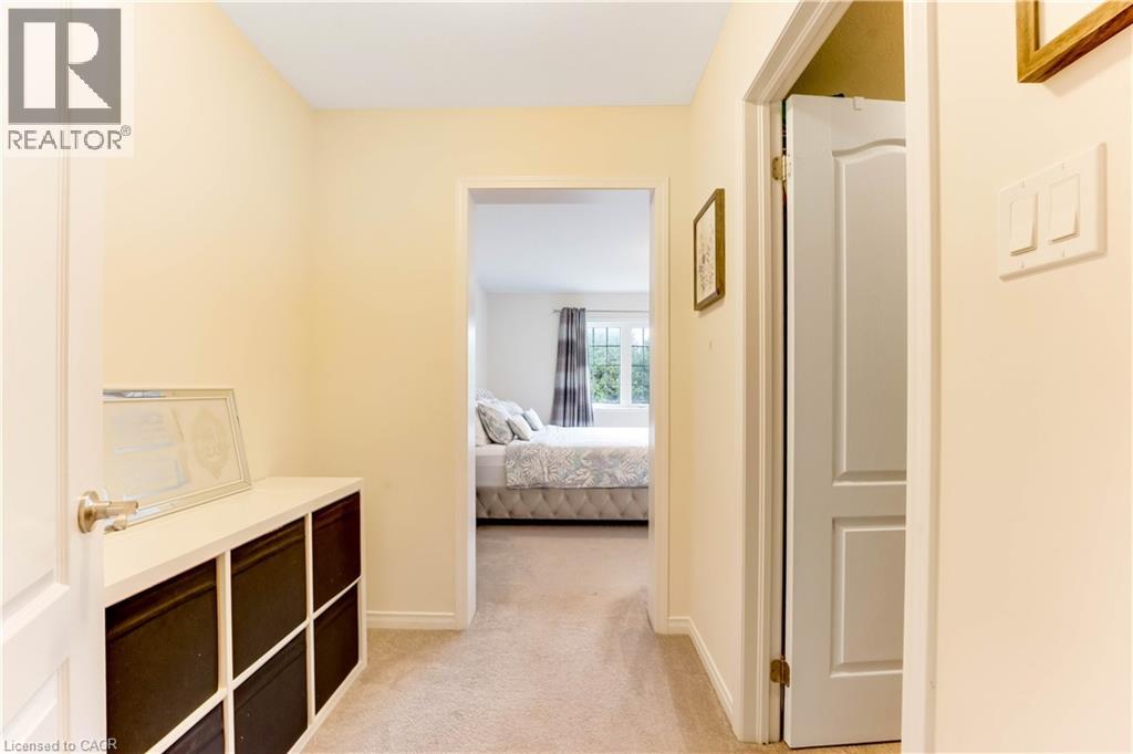 334 DOLMAN Street thumbnail 24