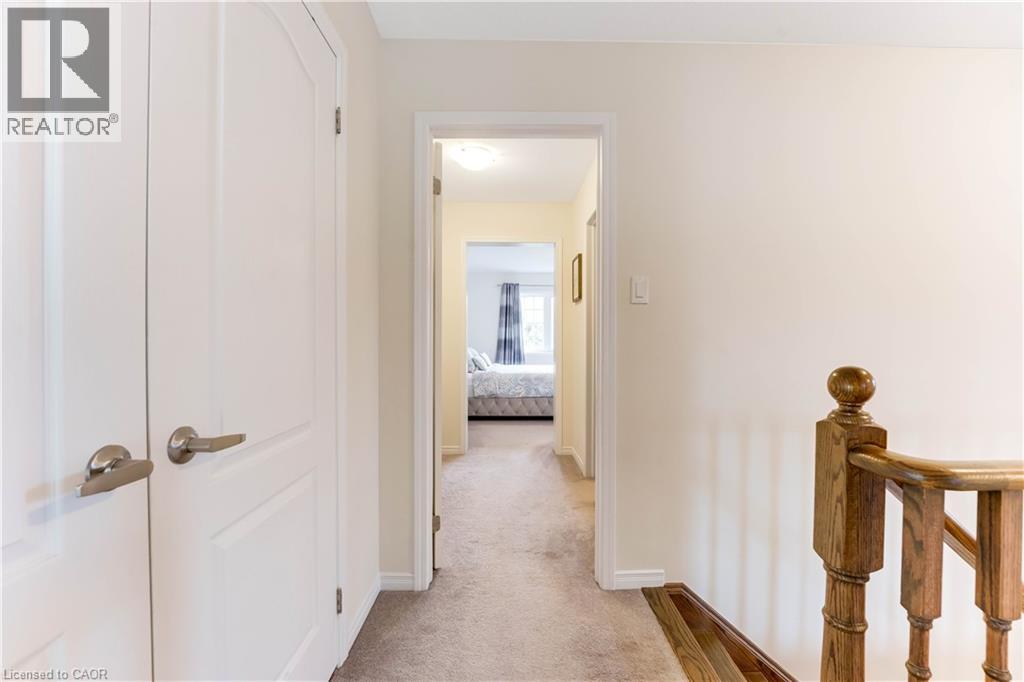 334 DOLMAN Street thumbnail 37