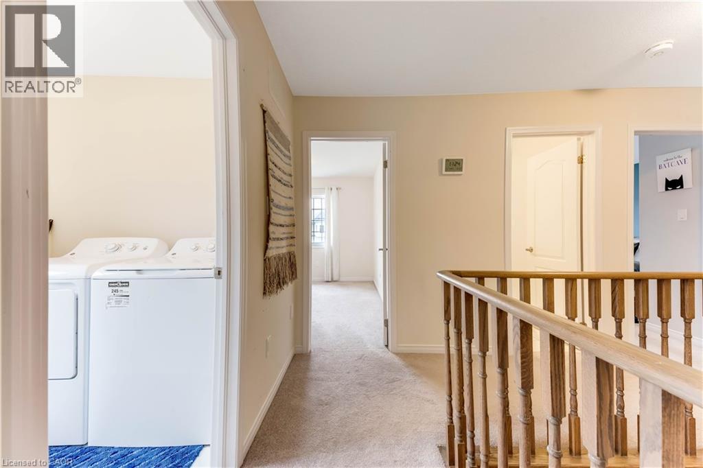 334 DOLMAN Street thumbnail 39