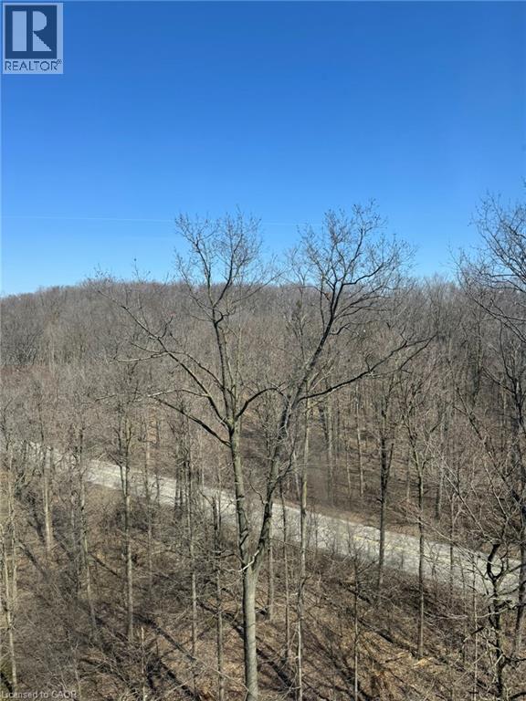 55 GREEN VALLEY Drive Unit# 1002 thumbnail 24