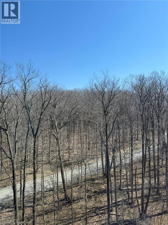 55 GREEN VALLEY Drive Unit# 1002 thumbnail 22