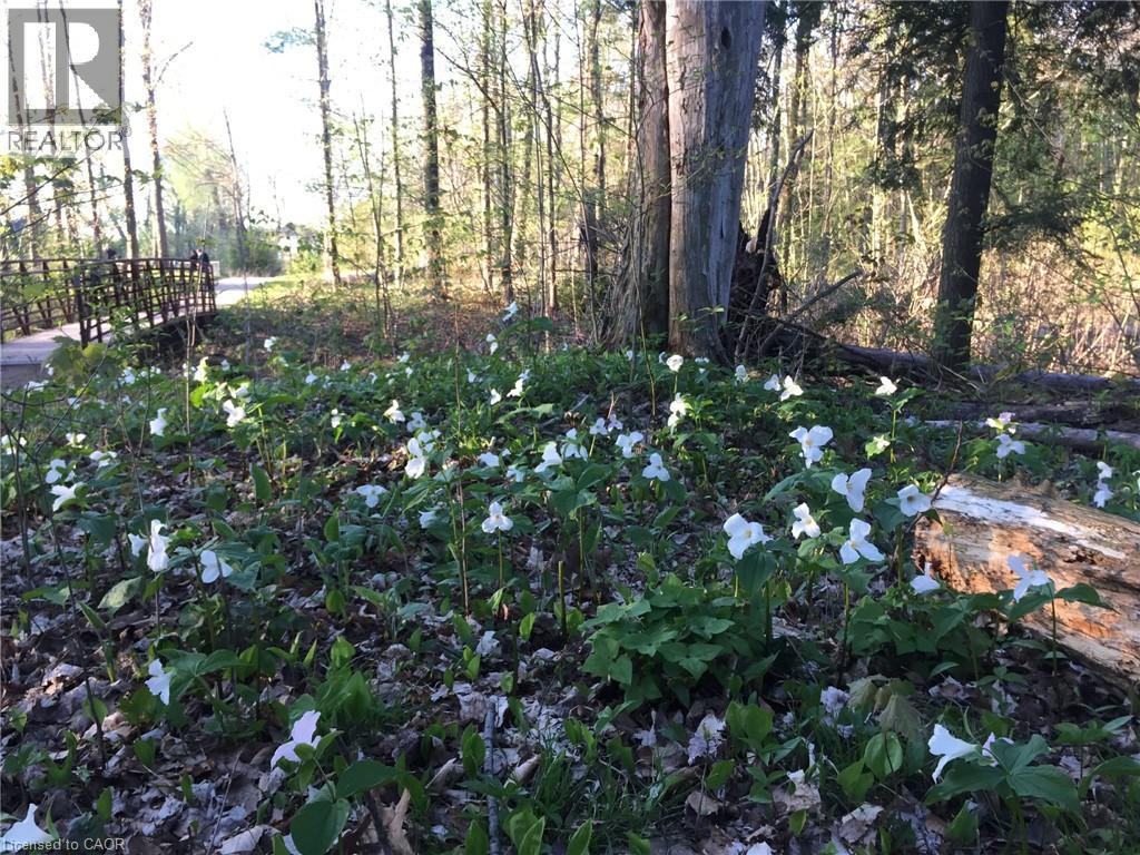 7 KILKERRAN Crescent thumbnail 40